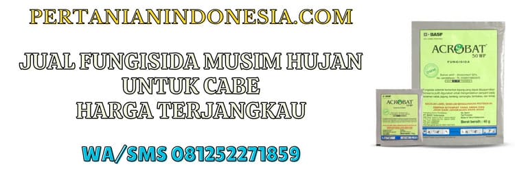 jual,murah,pertanian indonesia,jual fungisida musim hujan untuk cabe,jual fungisida musim hujan untuk cabe murah